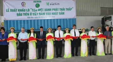 خطة جديدة لتعزيز صادرات الأرز وضمان استمرارية زخم تدفق الشحنات للأسواق الخارجية